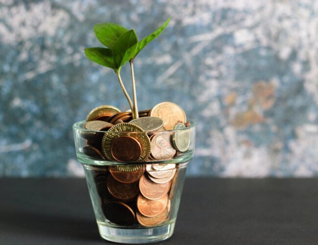 Liten v&auml;xt som v&auml;xer i ett litet glas med mynt.